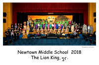 NMS Craftplayers 2018- The Lion King, Jr.