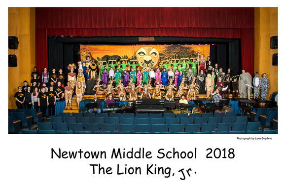 NMS Lion King 2018- 01